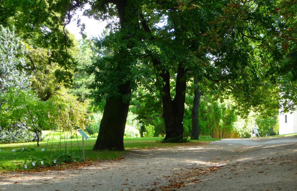 Streetview Wien - Premium Apartment Beim Belvedere Kültér fotó
